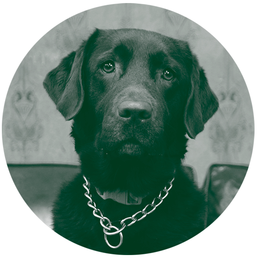 Greenline's moral officer, Maya.